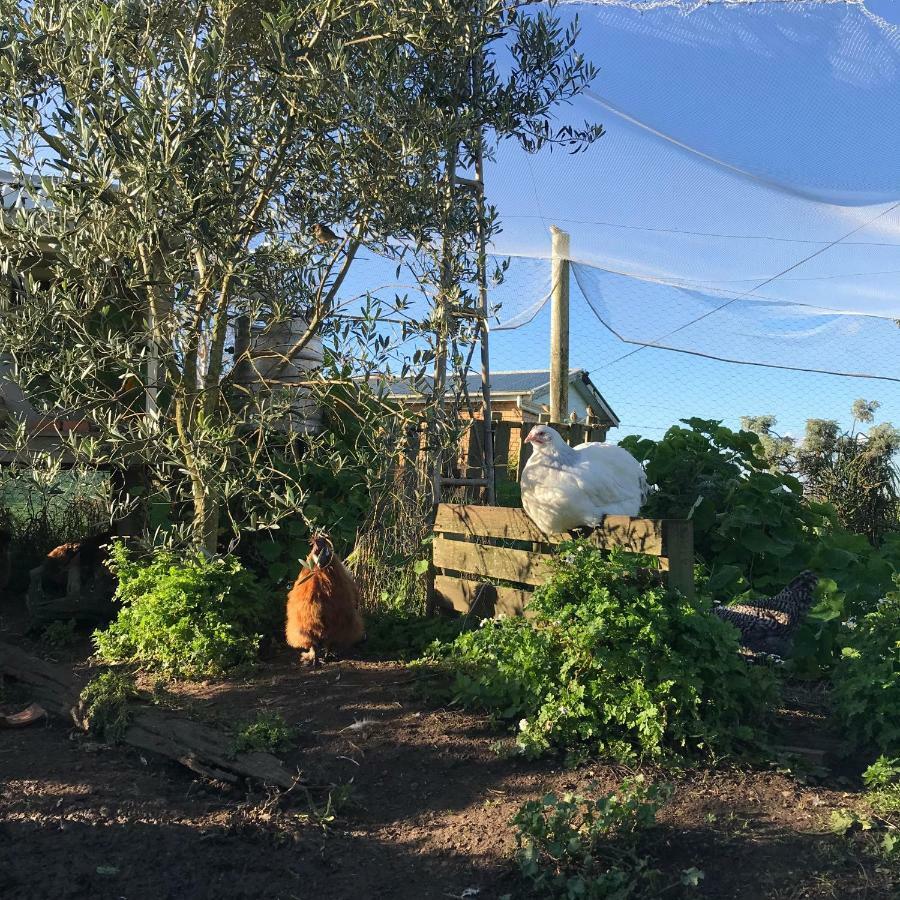 Ferienwohnung Langleys Port Campbell Hobby Farm Exterior foto